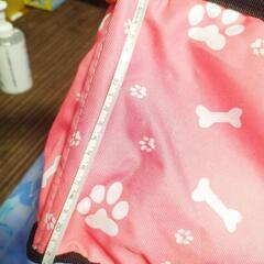 犬用バスケットの追加の写真ですの画像