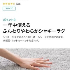 ニトリ　カーペット　ラグ　グレー　の画像