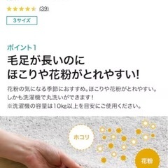ニトリ　カーペット　ラグ　グレー　の画像