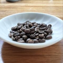自家焙煎コーヒー豆　パナマ