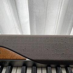 CASIO電子ピアノの画像