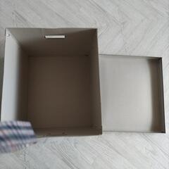 パルプボックスの画像