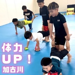 ⭐️キッズ格闘技⭐️生徒大募集⭐️加古川⭐️楽しく❕明るく❕強くなろう❕の画像