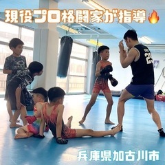 ⭐️キッズ格闘技⭐️生徒大募集⭐️加古川⭐️楽しく❕明るく❕強くなろう❕の画像