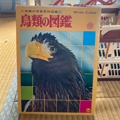 鳥類の図鑑 昭和58年 出版【商談中】の画像