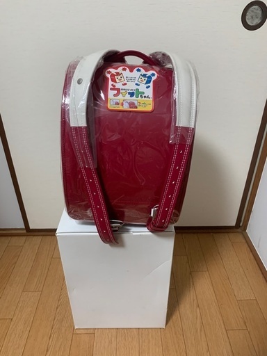 フィットちゃん新品値下げ