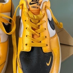 NIKE、SB、フォース58の画像