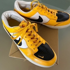 NIKE、SB、フォース58の画像