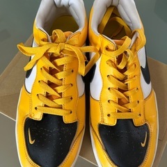NIKE、SB、フォース58の画像
