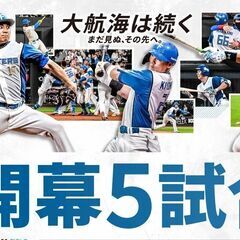 【購入者決まりました】春休みに！4/4　ファイターズVSバファロ...