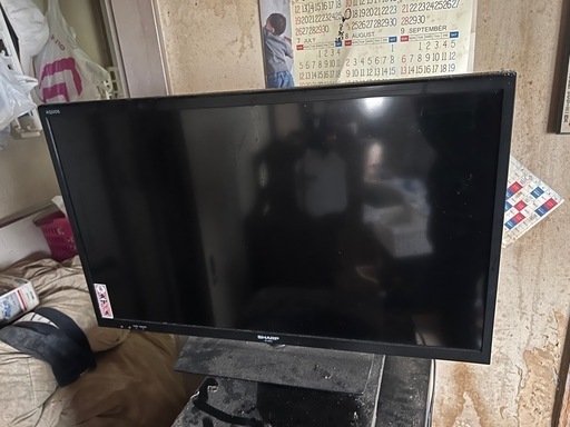 テレビ　2014