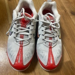 AIR VAPORMAX 360/27
cm/の画像
