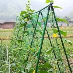 締切間近＊家庭菜園用具/ご希望の方に竹支柱あり