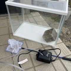 差し上げます　水槽の画像