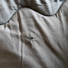 こたつ こたつ布団の画像