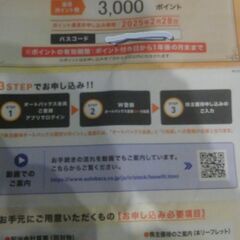 20日迄!　オートバックスセブン 株主優待 限定Vポイント 30...