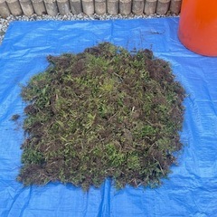 無料で差し上げます　雑草堆肥用の刈草土付きの画像