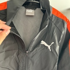 プーマ/セットアップ/半額以下🤑の画像