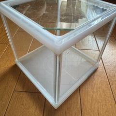nisso キューブ水槽の画像