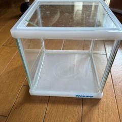 nisso キューブ水槽の画像