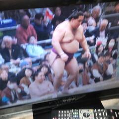 24型  シャープ