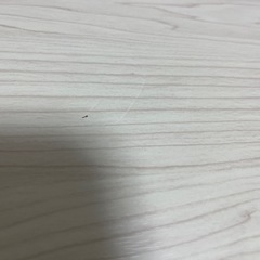 折りたたみテーブル、イスセットの画像