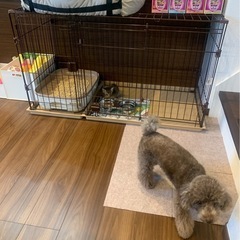 犬用ケージ　ペットケージ