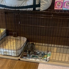 犬用ケージ　ペットケージの画像