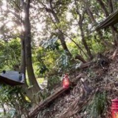この浮遊感は癖になる！！ハンモックで泊まる　【カマキャン・キャンプサイトNo,3】 - 鎌倉市