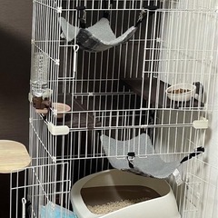 猫用ケージ　２段ケージの画像