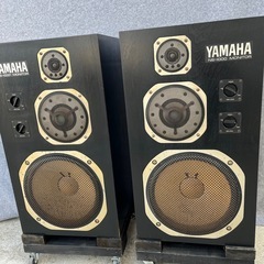 ヤマハN S-1000