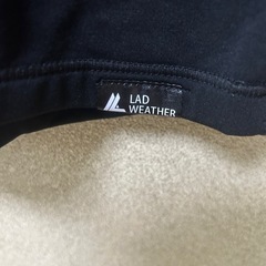 レディース、暖かインナーLの画像