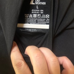 レディース、暖かインナーLの画像