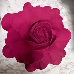🤍Francfrancお花クッション