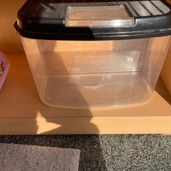 昆虫飼育ケス