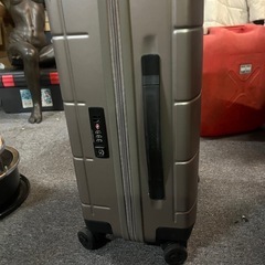 サムソナイト Samsonite スーツケース タイリウム スピナー55 I74-001 TILEUM SPINNER55 MATT IVORY GOLDの画像
