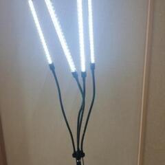 ☑︎ご成約済み■植物育成ライト■LED スタンド4灯 タイマー 三脚/植物育成LED/太陽光の画像