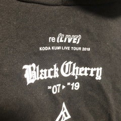 倖田來未LIVEグッズ