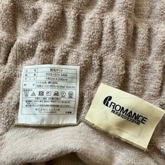 起毛ブランケットの画像