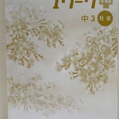処分価格❗️⭐️中学3年生⭐️社会iワークプラス問題集