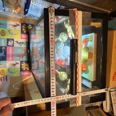 雛飾りの画像