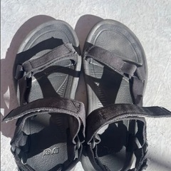 teva ハリケーン25センチの画像