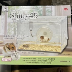 ハムスターの中古が安い！激安で譲ります・無料であげます
