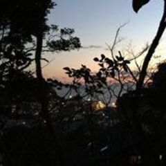 まるで海外リゾートのような！！稲村ケ崎の海岸を一望！　【カマキャン・キャンプサイトNo,8】 - 地元のお店