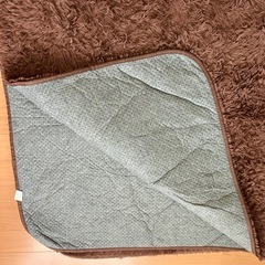 ラグの画像