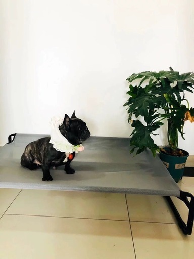 高架式ペットベッド コットベッド