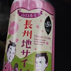 ※報酬欄未記入でした、確定申告終わらせたいです
