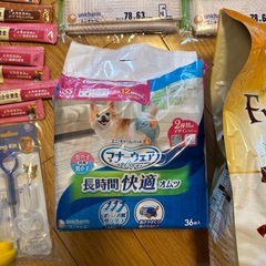 犬　値下げ
餌、スポイト、シーツ、オムツ等まとめ売りの画像