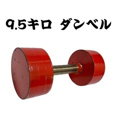 9.5キロ　ダンベル　鉄アレイ