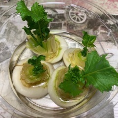 園芸、ガーデニング友達探してます。 - メンバー募集
